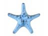 Rustic Dark Blue Whitewashed Cast Iron Decorative Starfish Paperweight 4.5 - 1