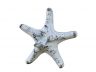 Rustic Whitewashed Cast Iron Decorative Starfish 4.5 - 2