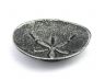 Antique Silver Cast Iron Sand Dollar Decorative Plate 6 - 2