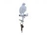 Whitewashed Cast Iron Eagle Sitting on a Tree Branch Decorative Metal Wall Hook 6.5 - 1