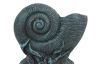 Seaworn Blue Cast Iron Nautilus Shell Door Stopper 8 - 3