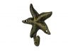 Antique Gold Cast Iron Starfish Hook 4 - 2