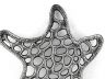 Antique Silver Cast Iron Starfish Trivet 7 - 2