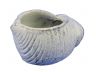 Whitewashed Cast Iron Seashell Decorative Tealight Holder 4 - 1