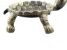Antique Gold Cast Iron Standing Turtle Plate 9 - 6