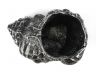 Antique Silver Cast Iron Conch Decorative Tealight Holder 5.5 - 2