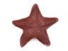 Red Whitewashed Cast Iron Starfish Decorative Bowl 8 - 1