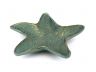 Antique Bronze Cast Iron Starfish Decorative Bowl 8 - 3