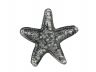 Antique Silver Cast Iron Starfish Paperweight 3 - 3