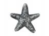 Antique Silver Cast Iron Starfish Paperweight 3 - 1