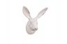 Whitewashed Cast Iron Decorative Rabbit Hook 5 - 2