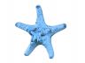 Rustic Dark Blue Whitewashed Cast Iron Decorative Starfish Paperweight 4.5 - 2