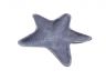 Rustic Dark Blue Cast Iron Starfish Decorative Bowl 8 - 3