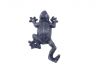 Rustic Dark Blue Cast Iron Frog Hook 6 - 1