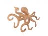 Rustic Orange Cast Iron Octopus Hook 11 - 1
