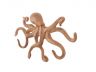 Rustic Orange Cast Iron Octopus Hook 11 - 2