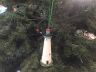 Marble Head Lighthouse Christmas Tree Decoration 7 - 1