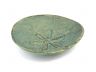 Antique Bronze Cast Iron Sand Dollar Decorative Plate 6 - 2