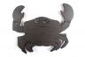 Cast Iron Crab Trivet 11 - 2