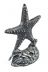 Antique Silver Cast Iron Starfish Door Stopper 11 - 2
