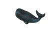 Seaworn Blue Cast Iron Whale Paperweight 5 - 2