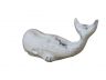Whitewashed Cast Iron Whale Paperweight 5 - 2