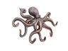 Rustic Copper Cast Iron Octopus Hook 11 - 1