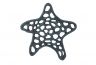 Seaworn Blue Cast Iron Starfish Trivet 7 - 1