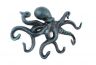 Seaworn Blue Cast Iron Octopus Hook 11 - 1