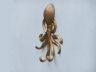 Antique Brass Wall Mounted Octopus Hooks 7 - 1