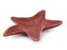 Red Whitewashed Cast Iron Starfish Decorative Bowl 8 - 2