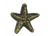 Antique Gold Cast Iron Starfish Paperweight 3 - 3