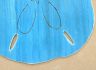 Wooden Rustic Light Blue Wall Mounted Sand Dollar Decoration 25 - 1