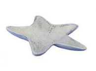 Whitewashed Cast Iron Starfish Decorative Bowl 8\