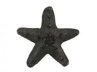Antique Cast Iron Starfish Paperweight 3\